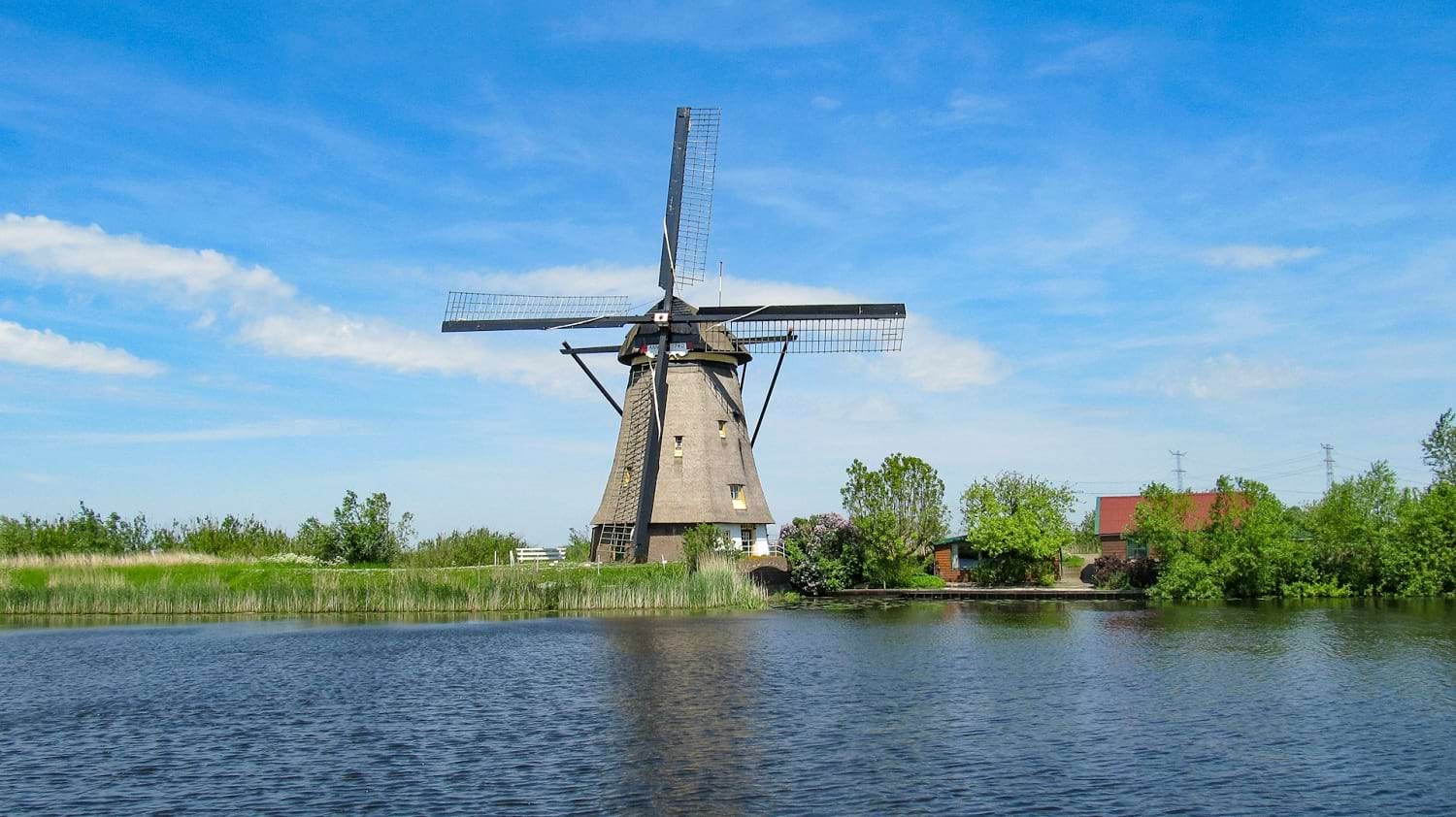 busy z polski do holandii